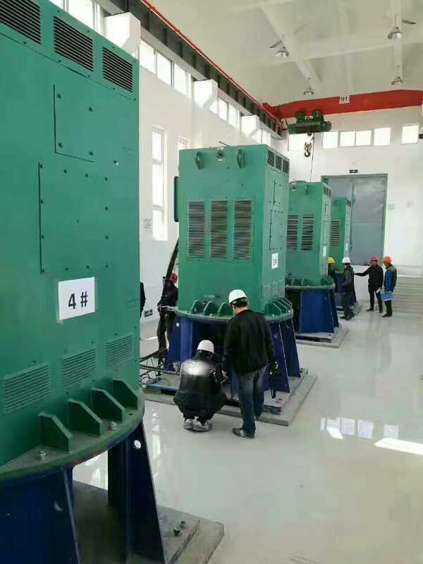 金凤某污水处理厂使用我厂的立式高压电机安装现场